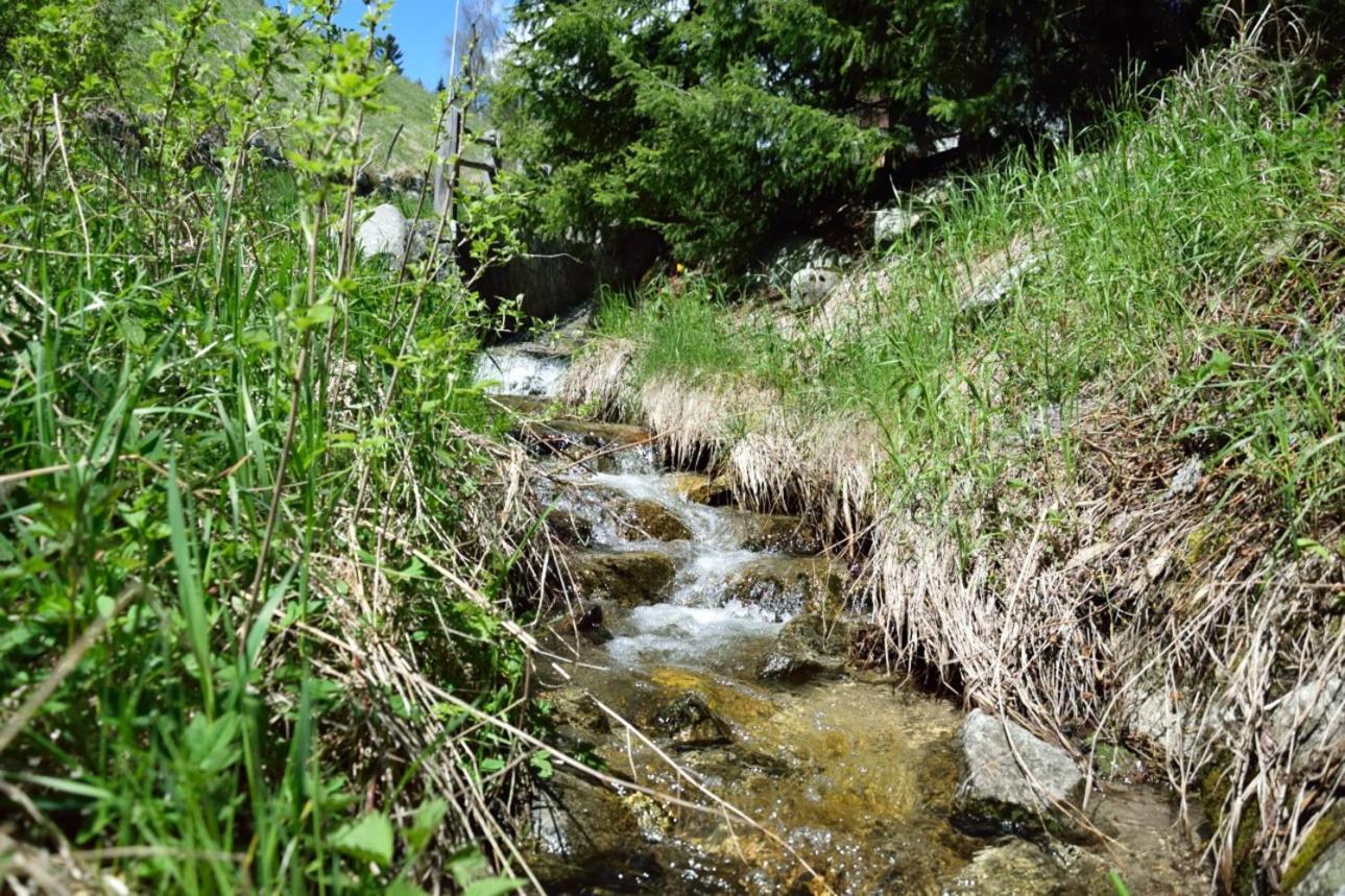 Villa Traterhof-Spinges Rio di Pusteria Esterno foto