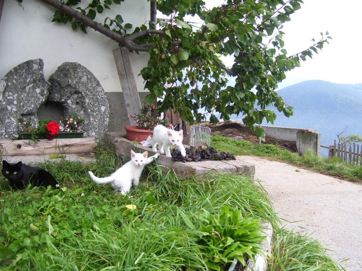 Villa Traterhof-Spinges Rio di Pusteria Esterno foto